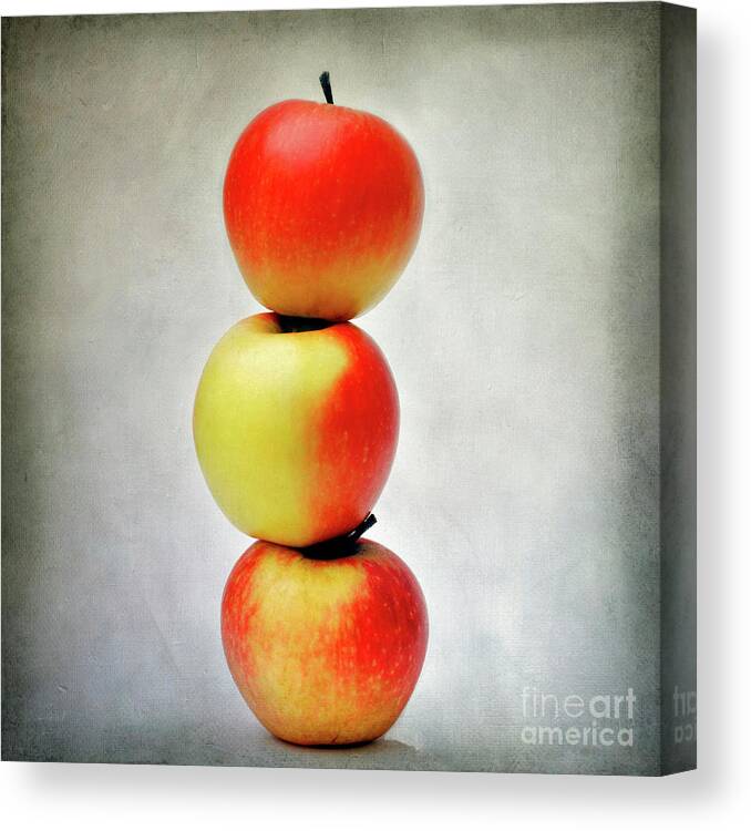 Apples Canvas Print featuring the photograph Three apples by Bernard Jaubert