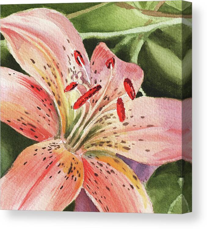 Tiger Lily Canvas Print featuring the painting Tiger Lily Close Up by Irina Sztukowski