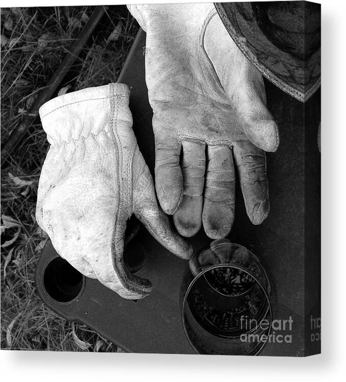 White Leather Gloves Canvas Print featuring the photograph Reward by Rosanne Licciardi
