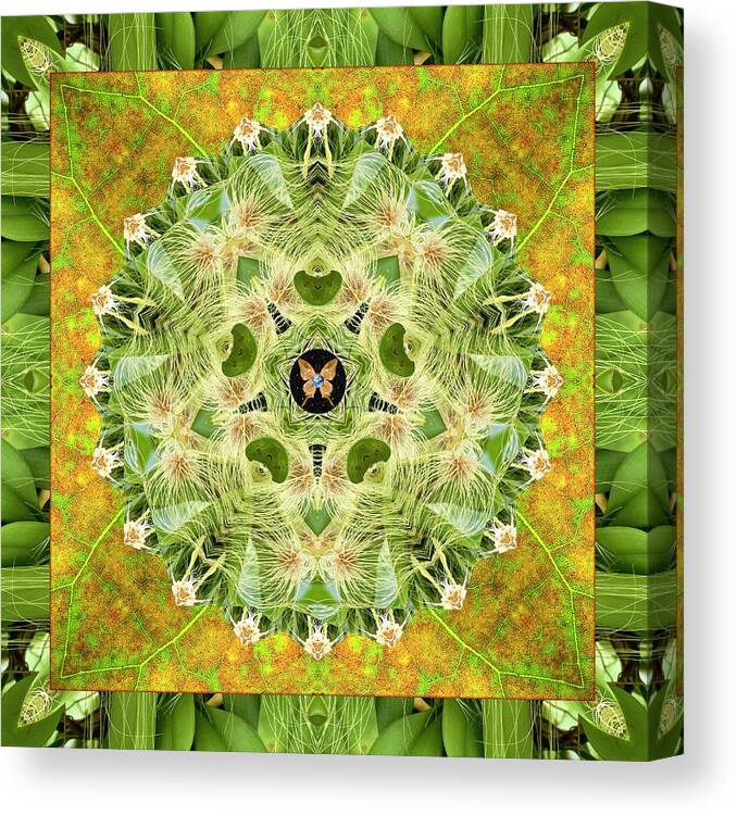 Yoga Art Canvas Print featuring the photograph Time Lines by Bell And Todd