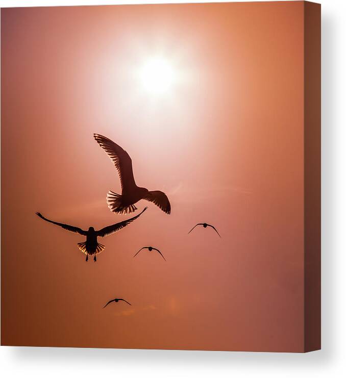 Seagull Silhouettes Canvas Print featuring the photograph TO BE FREE by KAREN WILES by Karen Wiles