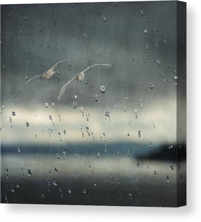 Rain Canvas Print featuring the photograph Together in the Rain by Sally Banfill