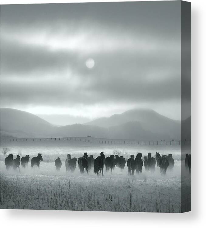 Sky Canvas Print featuring the photograph Toward The Sun by Shu-guang Yang