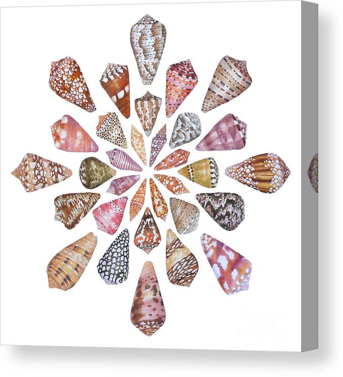 Cone Shells Canvas Print featuring the painting Toxic Tango III Cone Shells by Lucy Arnold