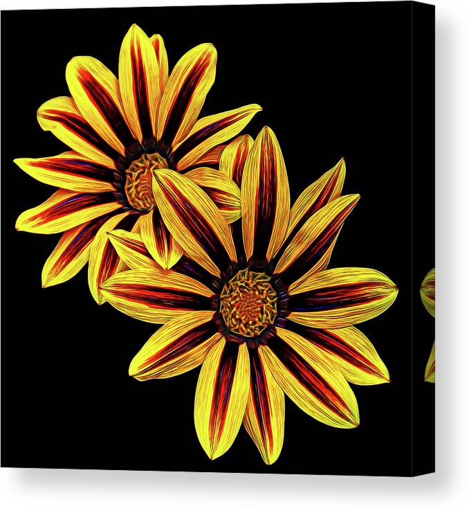 Treasure Flower Canvas Print featuring the photograph Treasure Flowers Painted by Judy Vincent