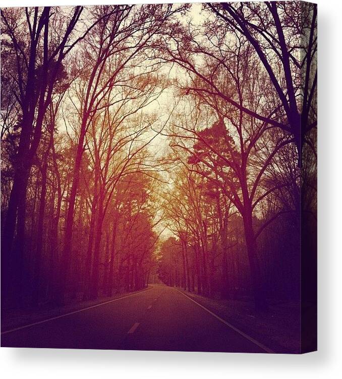 Trees Canvas Print featuring the photograph Tree Lined Hwy by Joan McCool