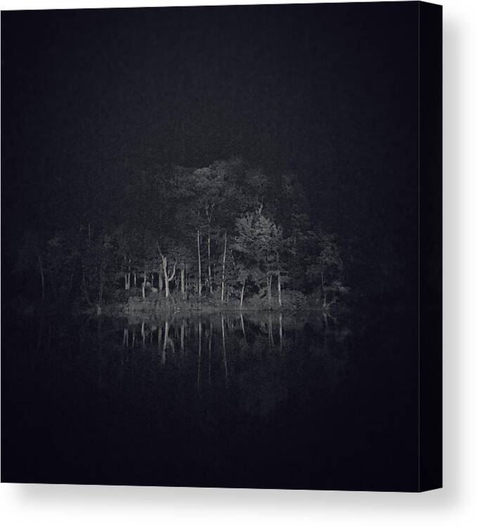 Photo Canvas Print featuring the photograph Treeflection by Jason Nicholas
