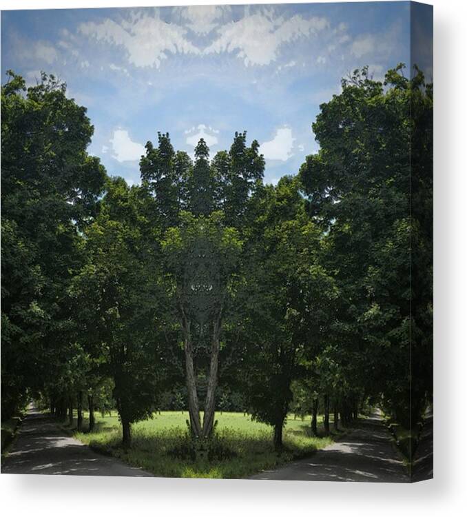 Which Way Canvas Print featuring the photograph Which way to go by Kimberly W