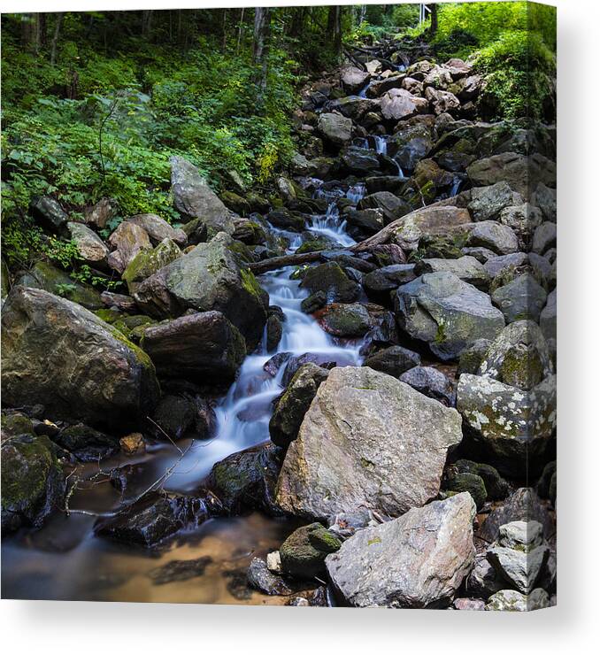Water Canvas Print featuring the photograph Trickling Mountain Brook by Sean Allen