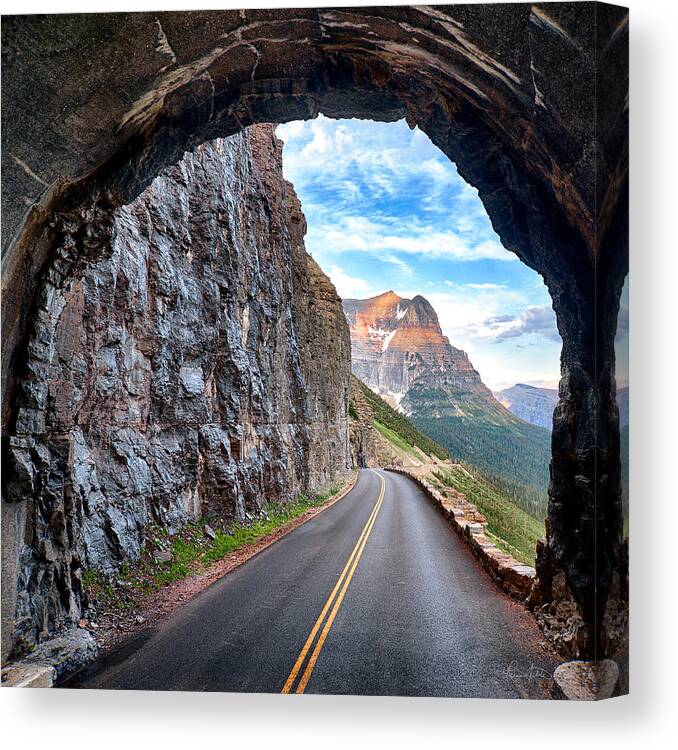 Landscape Canvas Print featuring the photograph Tunnel of Love by Renee Sullivan