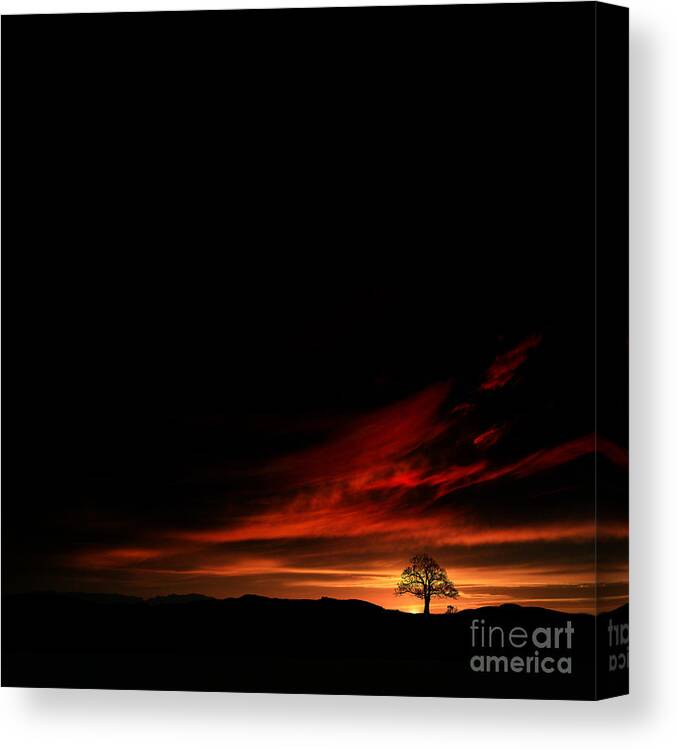 Twilight Glow Canvas Print featuring the photograph Twilight glow by Paul Davenport