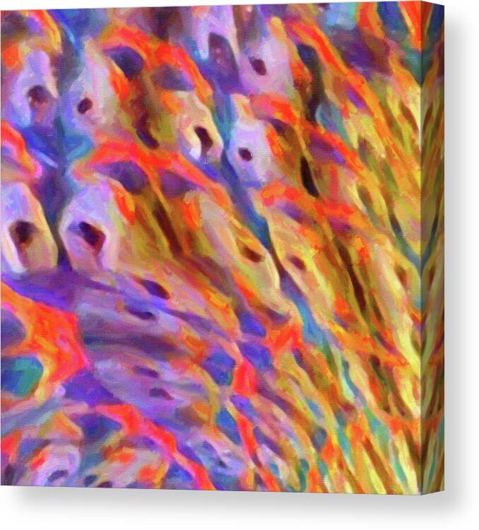 Twisted Canvas Print featuring the digital art Twisted Spiral Puff Mural 2 of 9 by DiDesigns Graphics