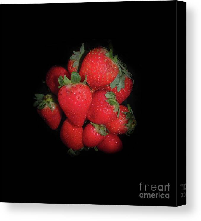 Strawberries Canvas Print featuring the photograph Very Berry Strawberries by Judy Hall-Folde