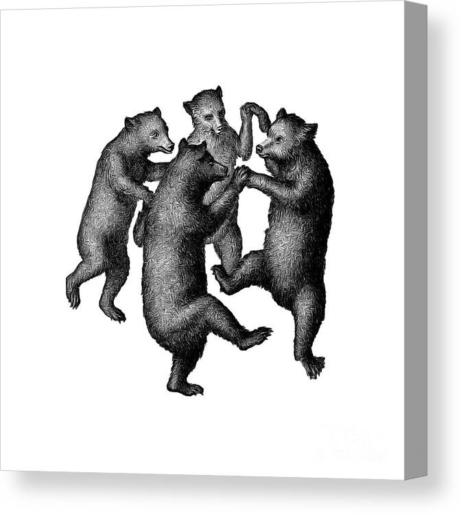 More From Edward Fielding Canvas Print featuring the drawing Vintage Dancing Bears by Edward Fielding