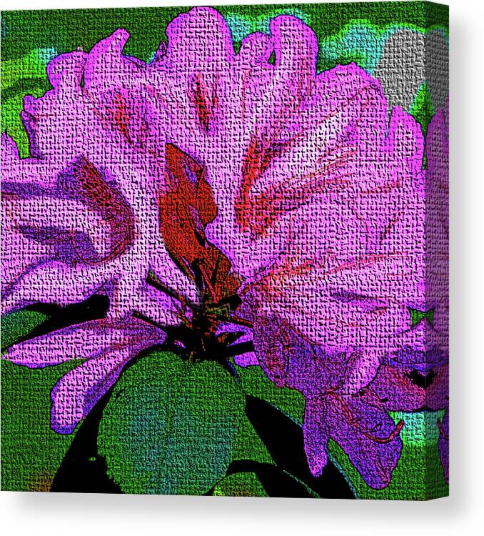 Flowers Canvas Print featuring the digital art Violet Azalea by Rod Whyte