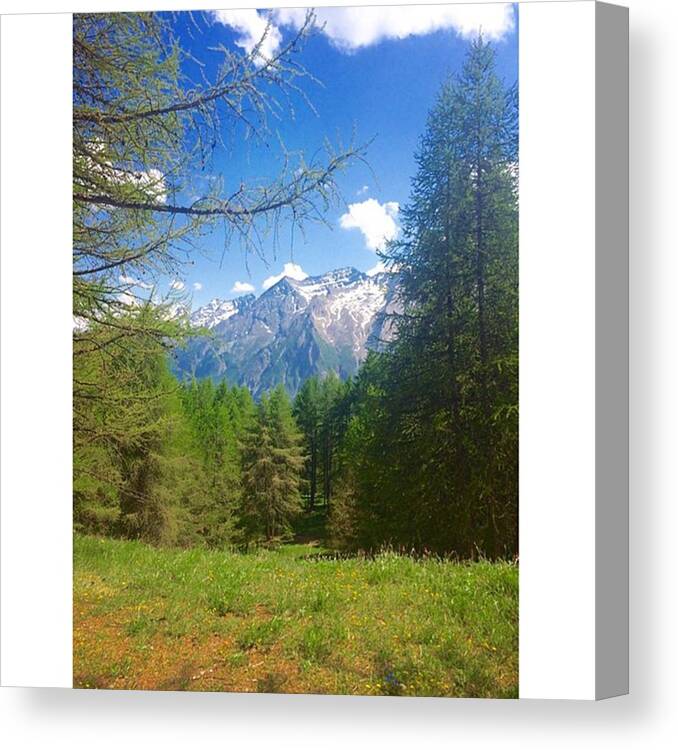  Canvas Print featuring the photograph Walked Along The Alps Separating France by Kirst Mason