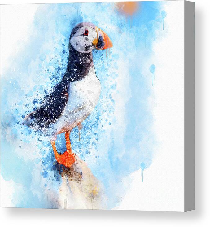 Puffin Canvas Print featuring the mixed media Water Colour Puffin by Jim Hatch