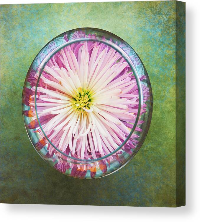 Flower Canvas Print featuring the photograph Water Flower by Scott Norris