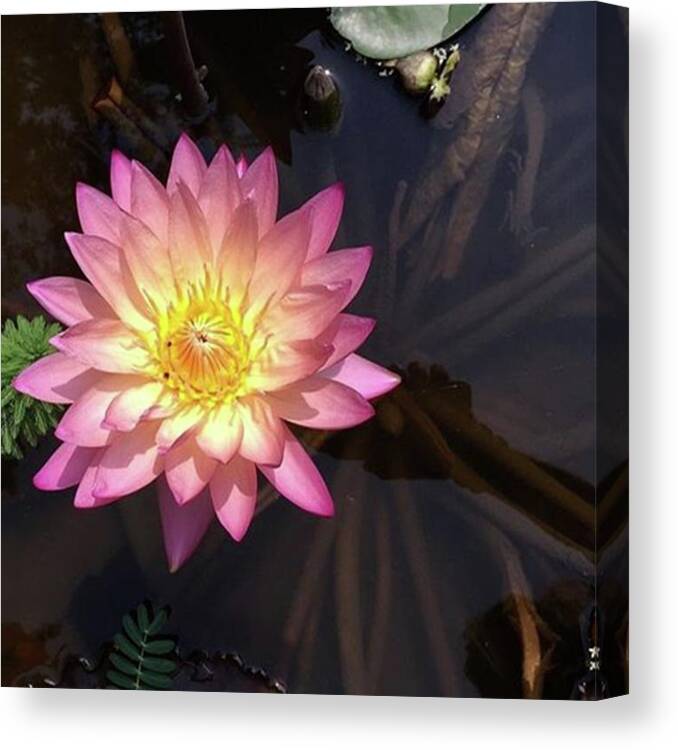 Natureismychurch Canvas Print featuring the photograph “we Become Spiritually Run When We by Donna K Hughes
