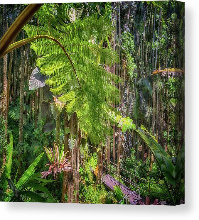 Hawaii Tropical Botanical Garden Canvas Print featuring the photograph Welcome to the Jungle 2 by Susan Rissi Tregoning