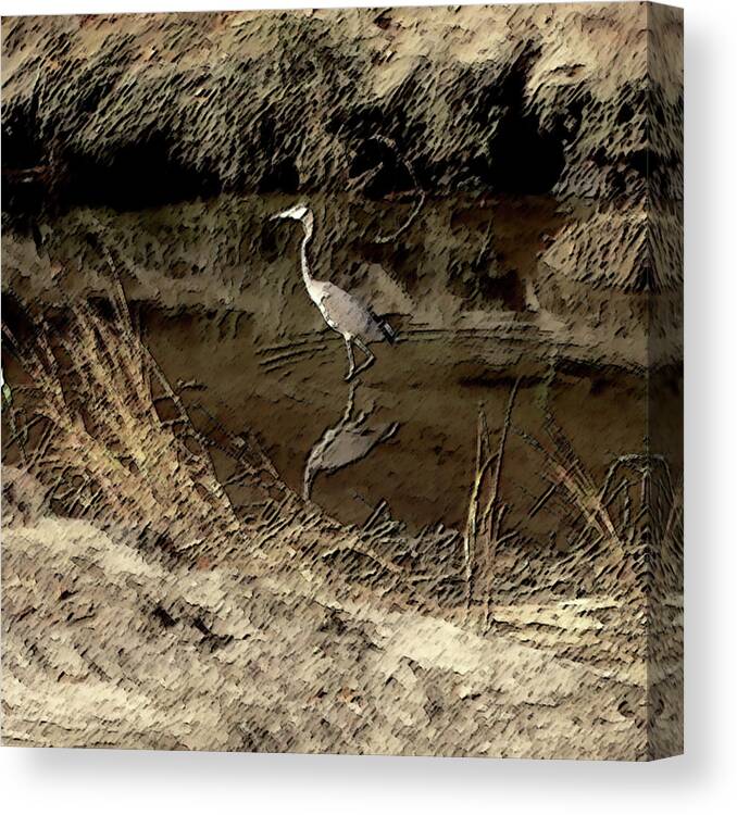  Canvas Print featuring the photograph Wetlands by Mark Alesse