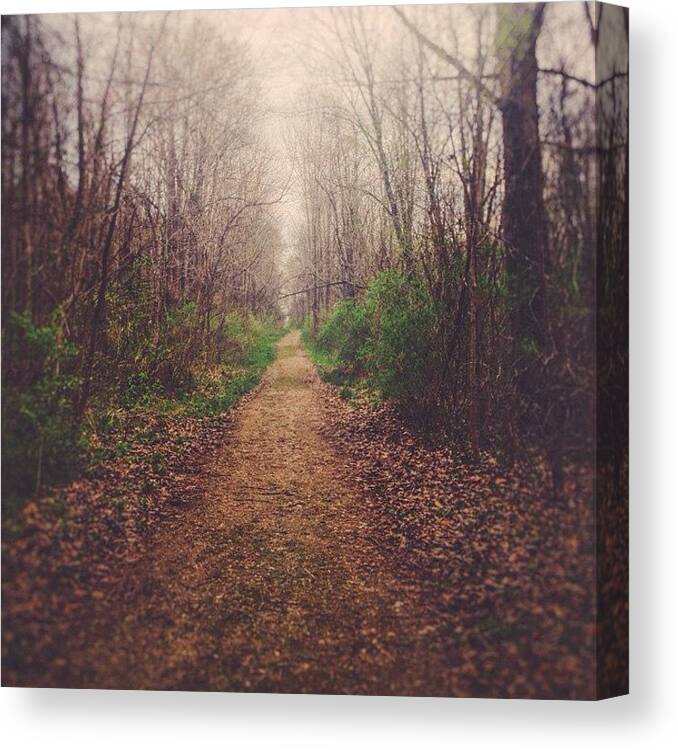 Vsco Canvas Print featuring the photograph Path by Nicky Page