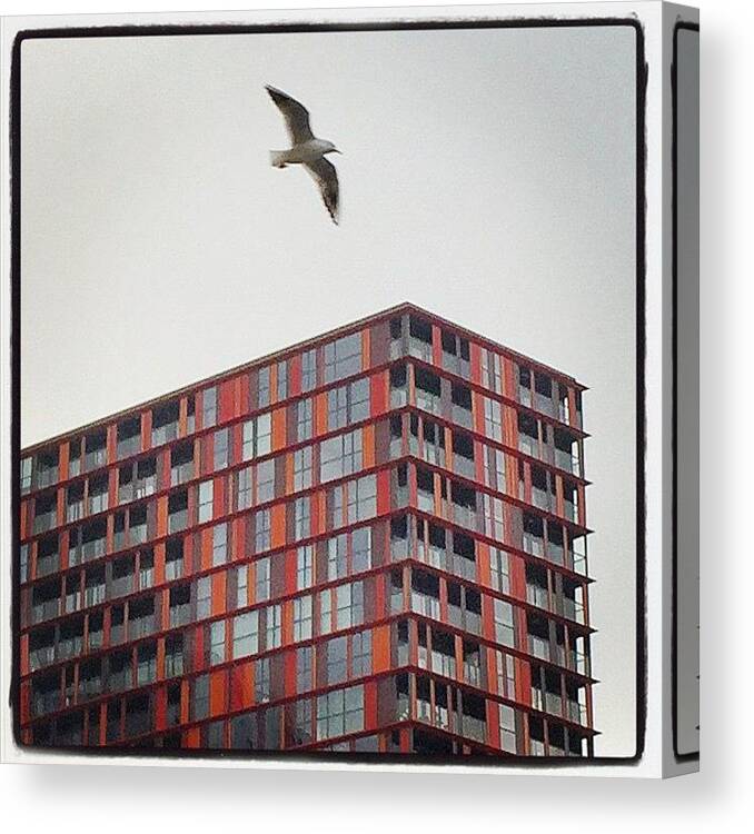 Building Canvas Print featuring the photograph Where Seagulls Dare #architecture by Alexis Fleisig