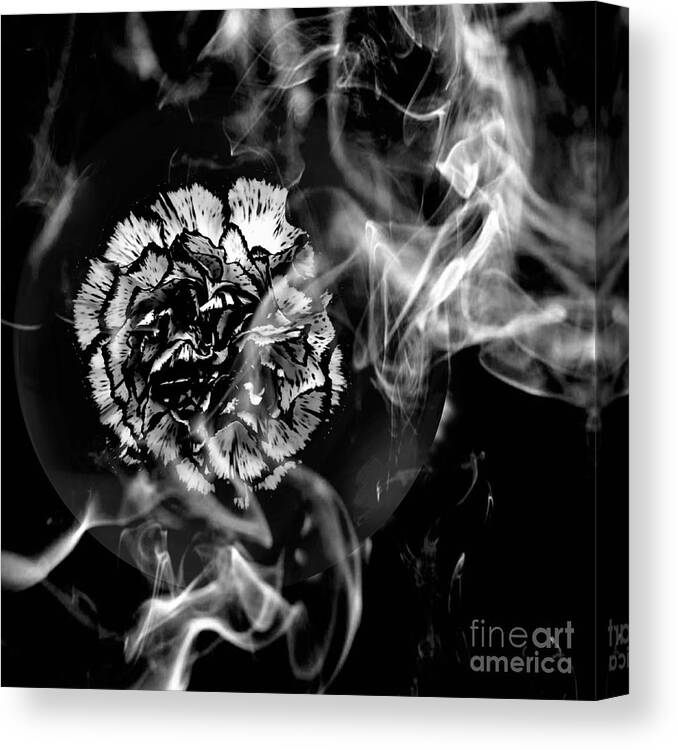 Black-and-white Canvas Print featuring the photograph Whisper In The Dark by Rachel Hannah