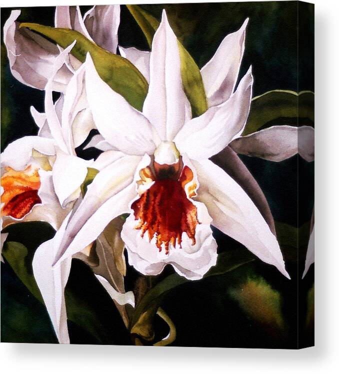Orchid Canvas Print featuring the painting White Dendrobium Orchid by Alfred Ng
