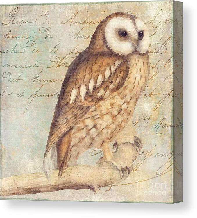 Painted Owl Canvas Print featuring the painting White Faced Owl by Mindy Sommers