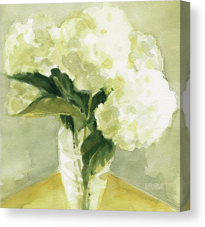Floral Canvas Print featuring the painting White Hydrangeas Morning Light by Beverly Brown