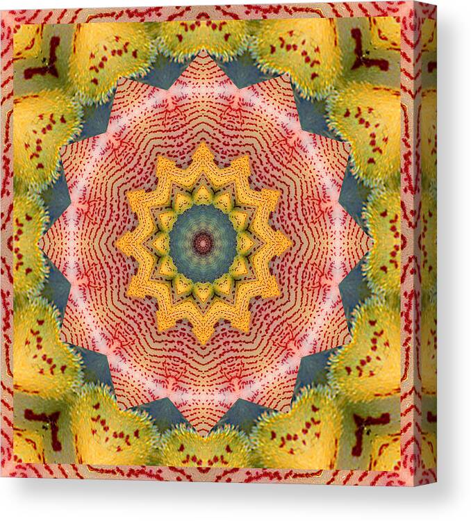 Mandalas Canvas Print featuring the photograph Wholeness by Bell And Todd