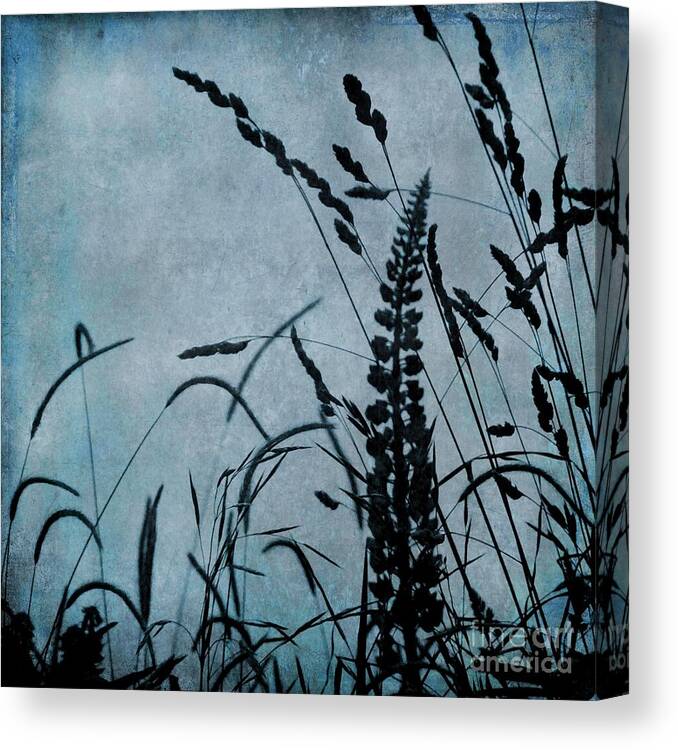 Fern Canvas Print featuring the photograph Wild Grasses in Blue by Patricia Strand