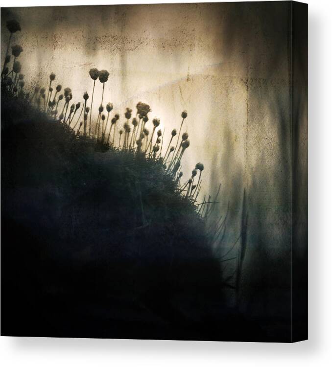 Grass Canvas Print featuring the photograph Wild Things - Number 1 by Dorit Fuhg