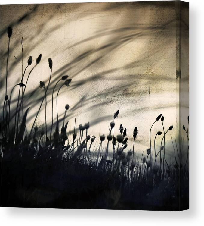 Flower Canvas Print featuring the photograph Wild Things - Number 2 by Dorit Fuhg