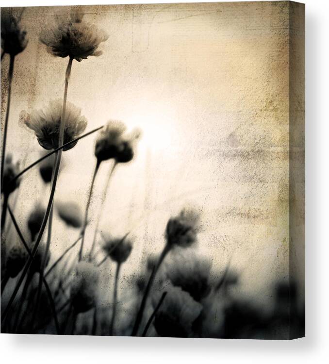 Flower Canvas Print featuring the photograph Wild Things - Number 3 by Dorit Fuhg