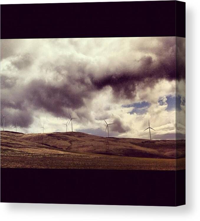 Wind Farm Canvas Print featuring the photograph Wind Farm by Danielle Doucette