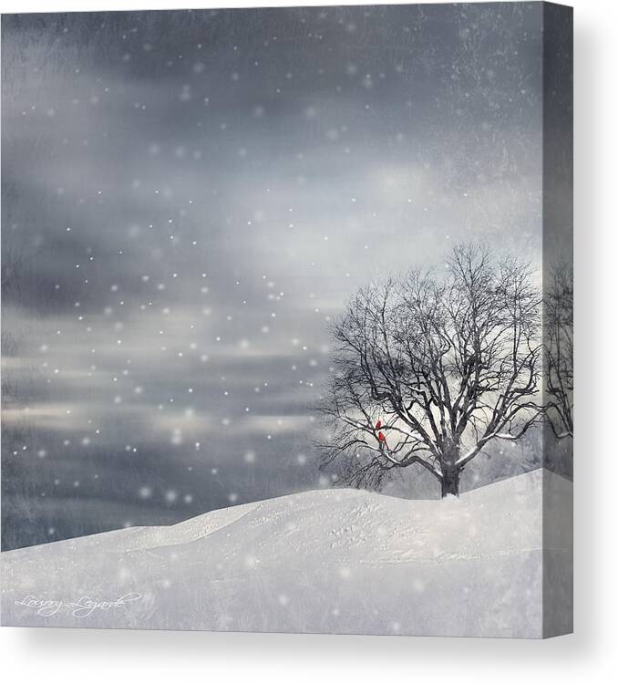 Four Seasons Canvas Print featuring the photograph Winter by Lourry Legarde