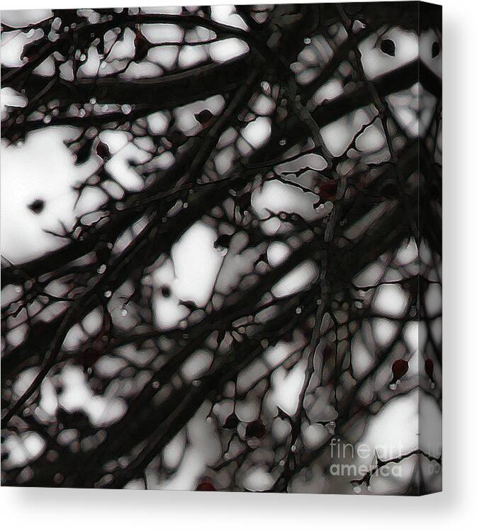 Branches Canvas Print featuring the photograph Winter Rain - 2 by Linda Shafer