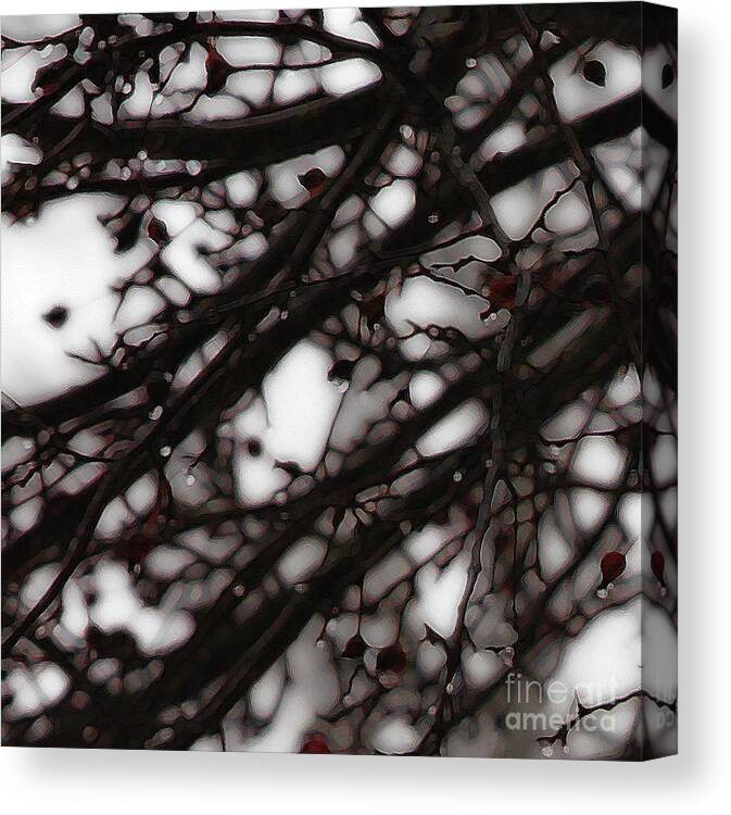 Branches Canvas Print featuring the photograph Winter Rain - 3 by Linda Shafer