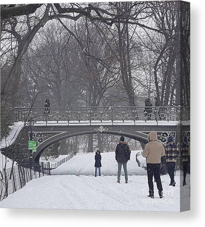 Photography Canvas Print featuring the photograph Winter wonderland by Brianna Kelly