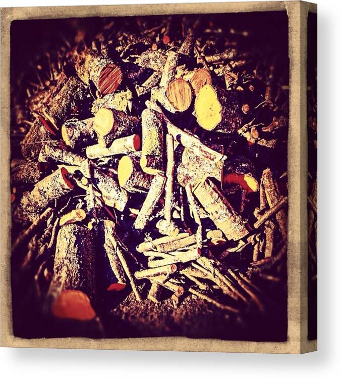 Mountains Canvas Print featuring the photograph #wood #firewood #trees #sycamore by Sam Stratton