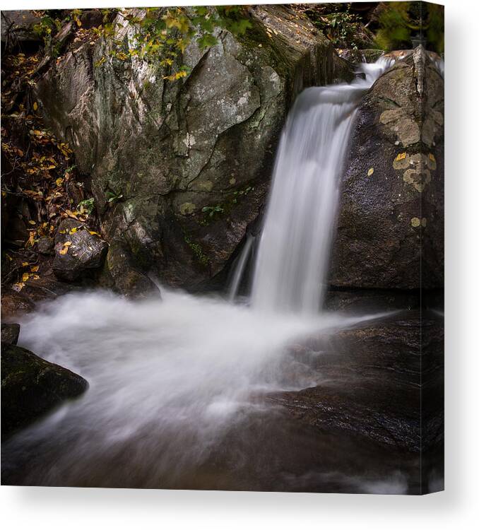 Asheville Canvas Print featuring the photograph Woodward Falls-8 by Joye Ardyn Durham