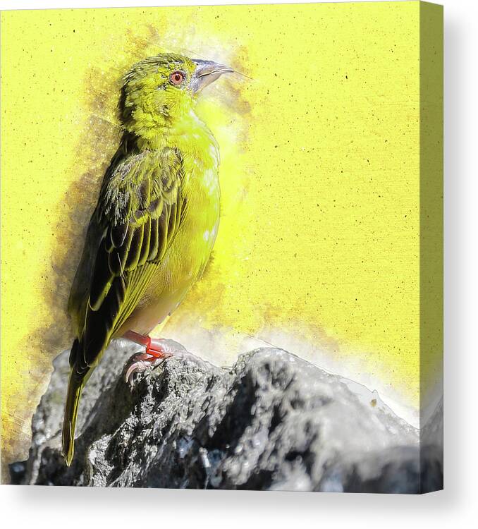 Yellow Canvas Print featuring the digital art Yellow bird by Art By Jeronimo