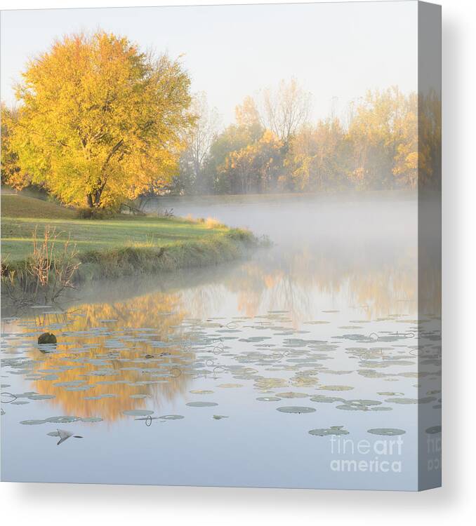 A Vibrant Yellow Tree During The Morning Golden Hour At The Lake. A Very Brisk Morning With Steam Rising Off The Lake. Canvas Print featuring the photograph Yellow Tree Reflection on the Lake by Tamara Becker