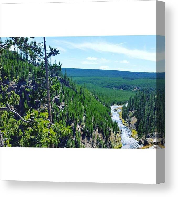 Yellowstone Canvas Print featuring the photograph A Day in Yellowstone by Ashley Loza