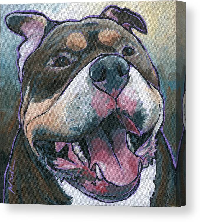 Pitbull Canvas Print featuring the painting Zuki by Nadi Spencer