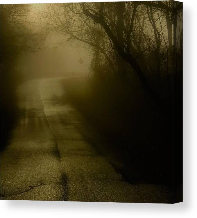  Canvas Print featuring the photograph Golden Fog #1 by Jack Wilson