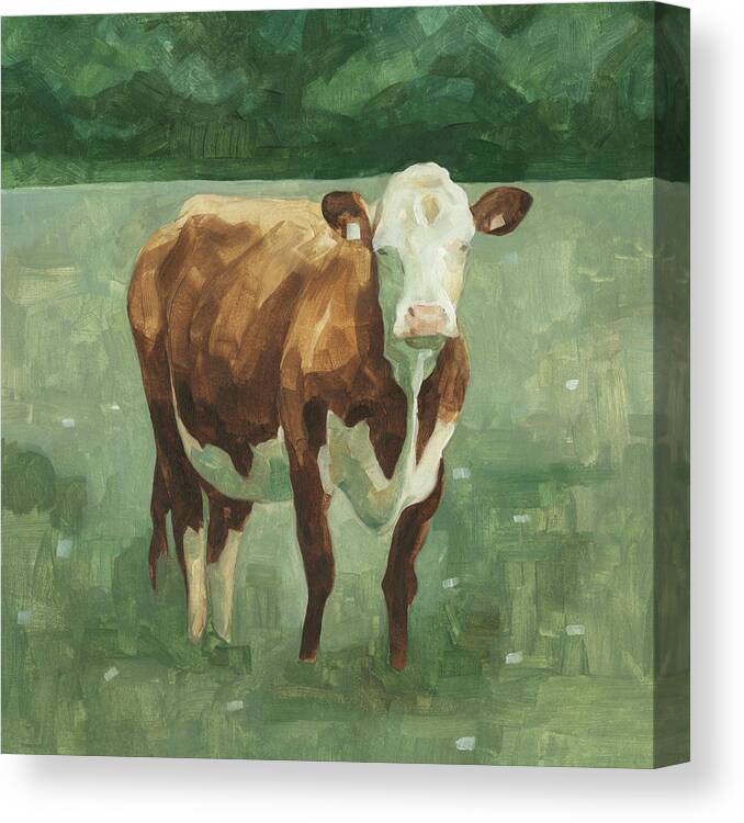  Canvas Print featuring the painting Hereford Cattle I #1 by Emma Scarvey