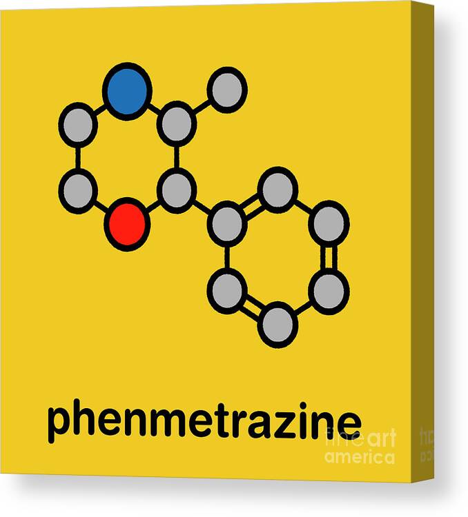 Phenmetrazine Canvas Print featuring the photograph Phenmetrazine Stimulant Drug Molecule #1 by Molekuul/science Photo Library
